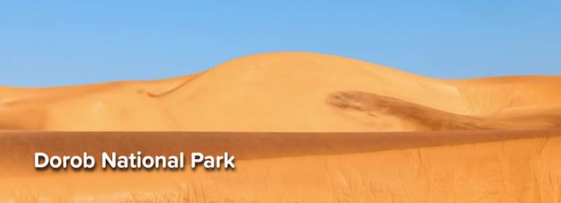 Namibia Wildlife: Ai Ais